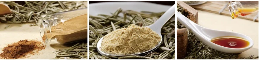 product-874-202 Natural Rosemary bulk Extract