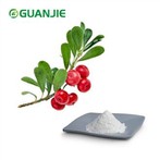 ผงอัลฟ่าอาร์บูตินบริสุทธิ์