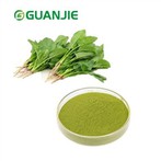 ผงสกัดผักโขม