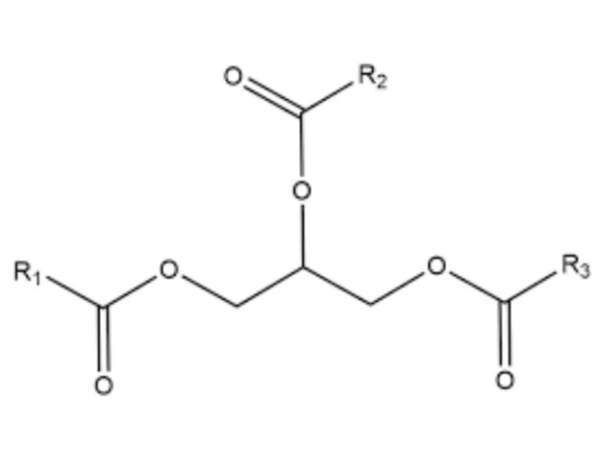 fatty acid fatty acid