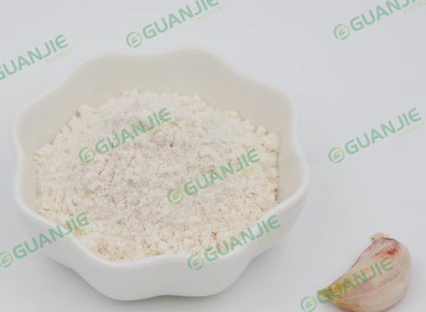 garlic extract powder bulk garlic extract powder bulk