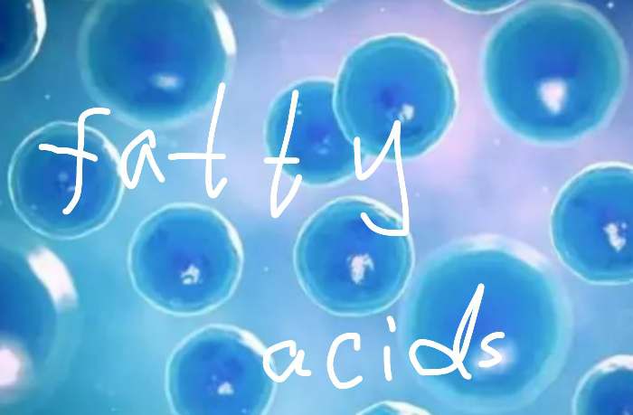 Fatty Acids Fatty Acids