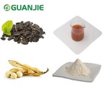 ผงฟอสฟาติดิลซีรีนจำนวนมาก